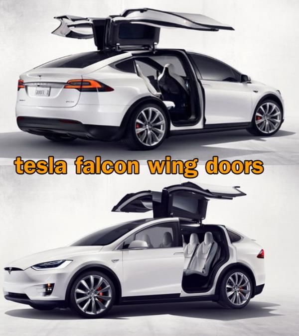Tesla Falcon Wing Doors    มาพร้อม Concept  