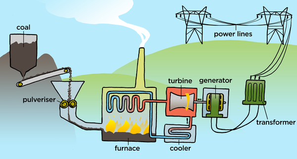 ก๊าซธรรมชาติและถ่านหินเป็นวัตถุดิบหลักในการผลิตไฟฟ้า