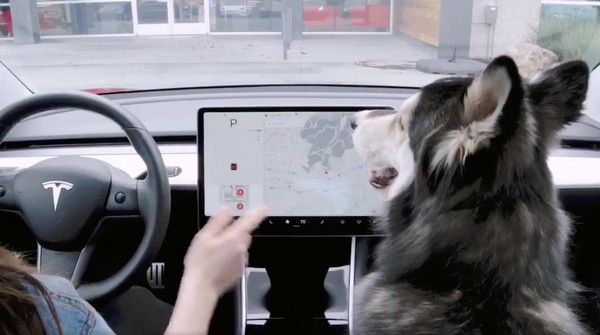 ระบบอัจริยะ Dog Mode จากค่ายรถสุดล้ำ ของ Elon Musk