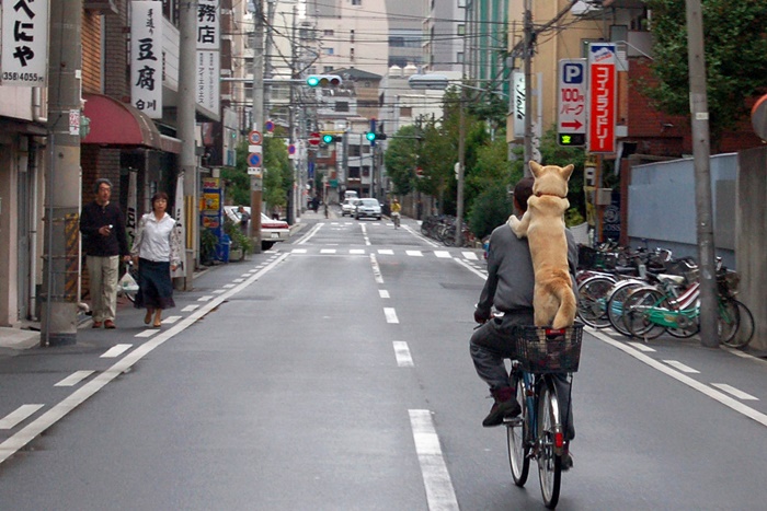 ท้องถนนญี่ปุ่นไม่มีรถส่วนตัวมาจอดขวางทางเกะกะ