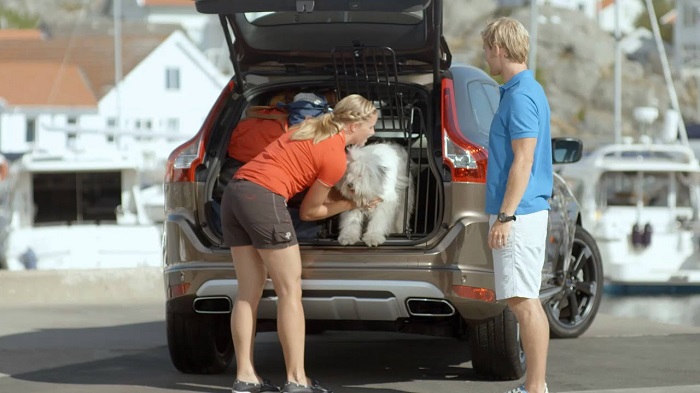 Volvo สะท้อนข้อมูลที่น่าสนใจ ซึ่งจำเป็นอย่างยิ่งที่เดินทางร่วมกับสุนัขในรถยนต์ จะต้องมีอุปกรณ์ควบคุมสัตว์เลี้ยง 