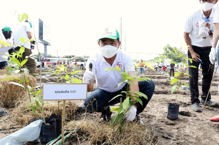 โตโยต้า ครบรอบ 60 ปี ปลูกป่า 600,000 ต้น