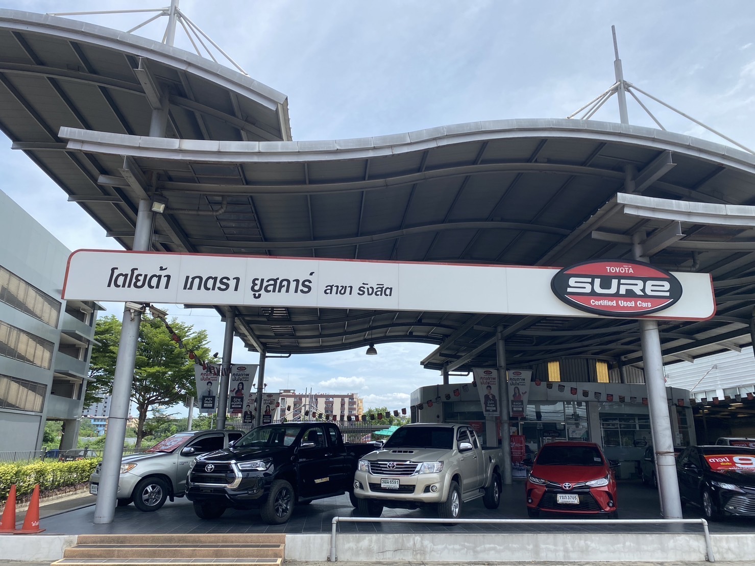ปัทมา ศรีนาแก้ว (เซลส์บาส)
