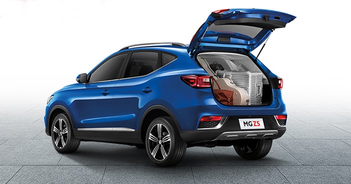 Mg ZS 2017