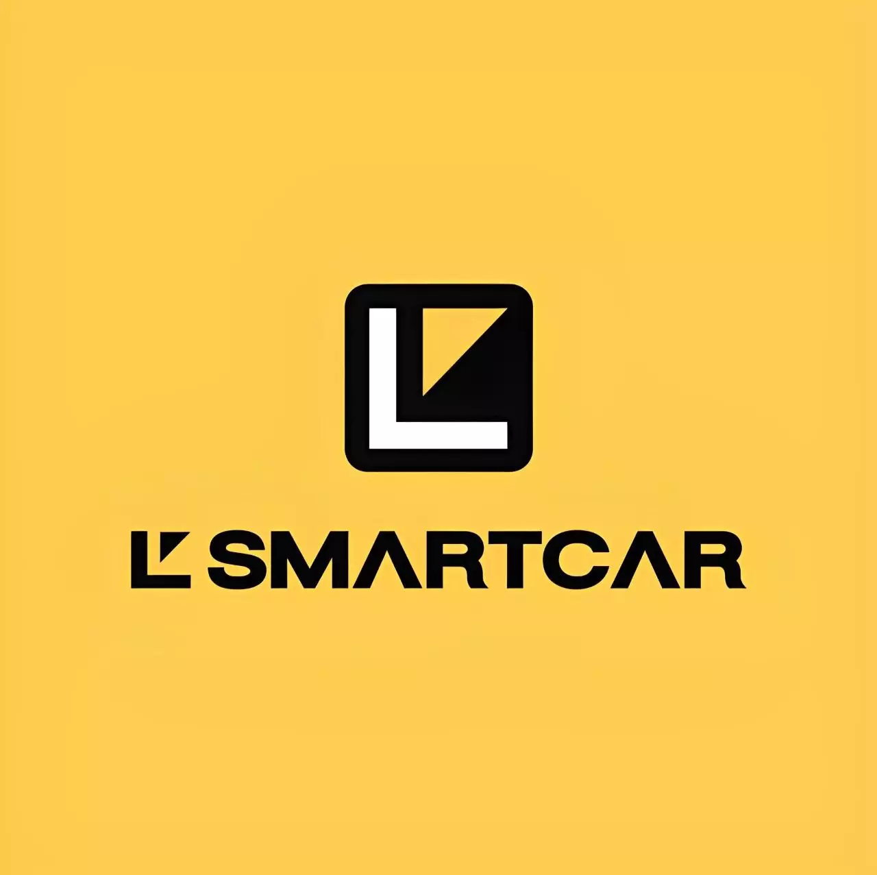 L' SMARTCAR