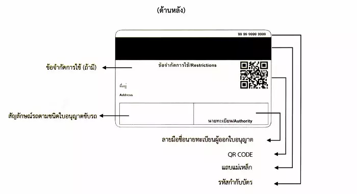 ผ่านแล้ว ใบขับขี่รุ่นใหม่ 2024 เพิ่มระบุเรื่องการบริจาคร่างกายและอวัยวะ