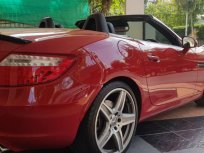 MERCEDES-BENZ SLK 200 รถป้ายแดงมือเดียว ไมล์แท้ เซอร์วิสศูนย์เบนซ์