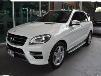 MERCEDES-BENZ ML250 CDI AMG Sports suv ราคาที่ดี