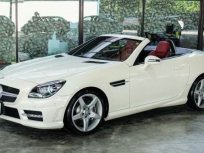 Mercedes-Benz SLK200 AMG Dynamic 2014.