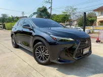 LEXUS NX350h Grand Luxury 2024