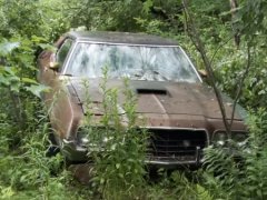 อยู่ๆก็รวย! เจอซากรถในป่า นำกลับมารีโนเวตใหม่ สร้างมูลค่ากว่า 110 ล้านบาท