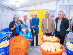  โตโยต้า เปิดศูนย์ธุรกิจชุมชนพัฒน์ แห่งที่ 7 "ธุรกิจทุเรียนทอด"