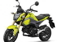  New Honda MSX125 !! เตรียมจำหน่าย 26 กุมภาพันธ์ ราคาเปิดอยู่ที่ 70,500 บาท