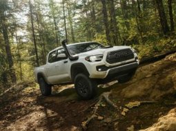 เปิดตัว กระบะ ขาลุย Toyota Tacoma Minor Change 2019