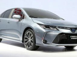 สิงหานี้เตรียมตัว เปิดจำหน่าย Toyota Corolla 2019 ในจีนอย่างเป็นทางการ