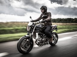  Suzuki เผยโฉม Suzuki SV650 สไตล์ Scrambler!!