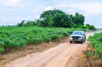 Ford Ranger ปี 2025 รุ่นย่อย XLS