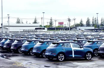 oragoodcatsoldout11-6677