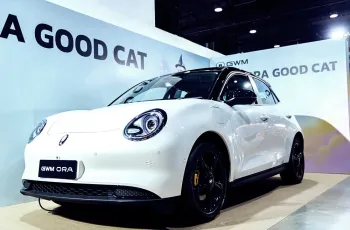 oragoodcatsoldout14-18d4