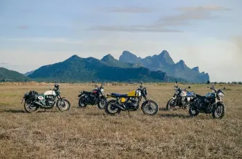 bear-t1-446-of-555-1-3165