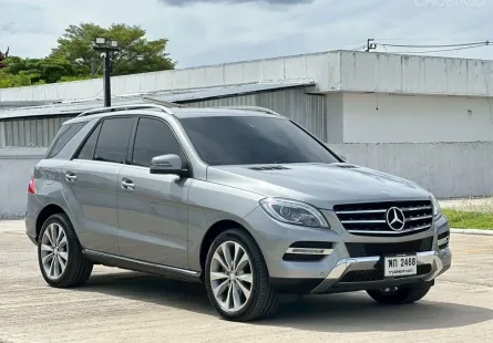 Mercedes Benz ML250 Bluetec Executive (W166) 2015