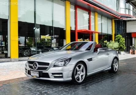 2013 Mercedes-Benz SLK200 R172 AMG Dynamic 