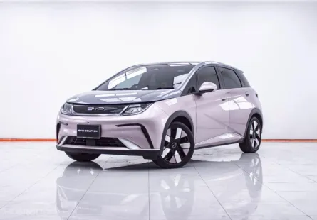 1E814 BYD DOLPHIN EXTENDED RANGE AT 2024