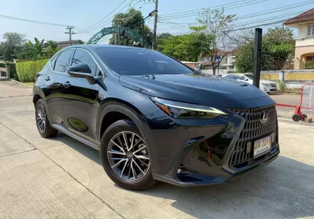 LEXUS NX350h Grand Luxury 2024